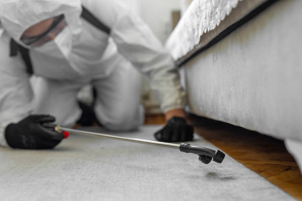 Professional Bed Bug Control technician working in Pierson, FL