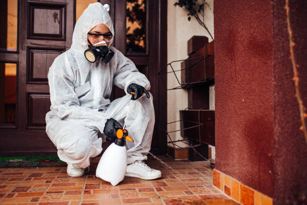Reliable Bed Bug Control contractor in Pierson, FL by Nex Pest Control