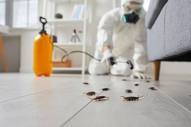 Trusted Rodent Control service in Pierson, FL - Nex Pest Control