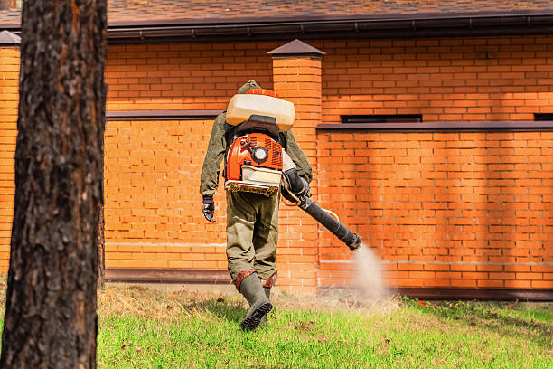 Trusted Mosquito Control service in Pierson, FL - Nex Pest Control